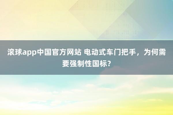 滚球app中国官方网站 电动式车门把手，为何需要强制性国标？
