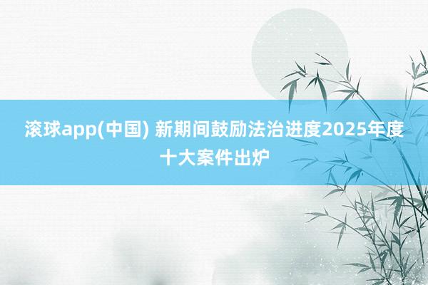 滚球app(中国) 新期间鼓励法治进度2025年度十大案件出炉