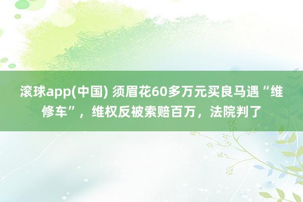 滚球app(中国) 须眉花60多万元买良马遇“维修车”，维权反被索赔百万，法院判了