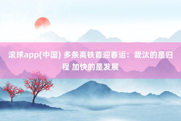 滚球app(中国) 多条高铁首迎春运：裁汰的是归程 加快的是发展