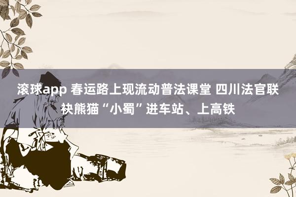 滚球app 春运路上现流动普法课堂 四川法官联袂熊猫“小蜀”进车站、上高铁