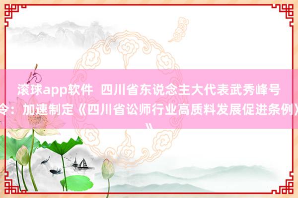 滚球app软件  四川省东说念主大代表武秀峰号令：加速制定《四川省讼师行业高质料发展促进条例》