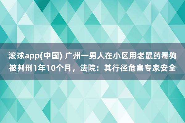 滚球app(中国) 广州一男人在小区用老鼠药毒狗被判刑1年10个月，法院：其行径危害专家安全
