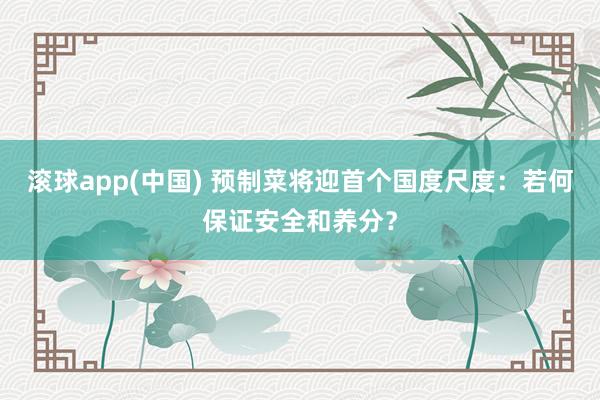 滚球app(中国) 预制菜将迎首个国度尺度：若何保证安全和养分？