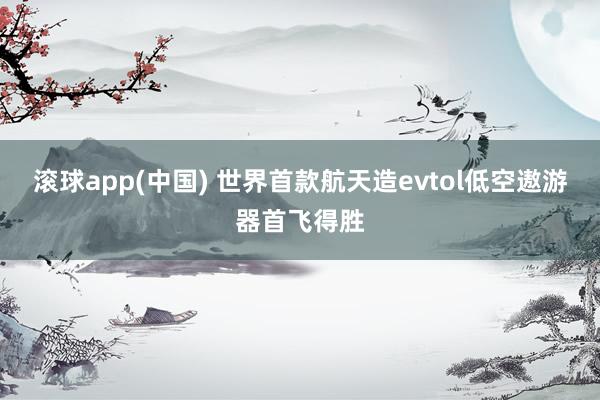 滚球app(中国) 世界首款航天造evtol低空遨游器首飞得胜
