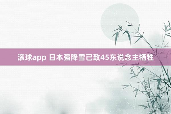 滚球app 日本强降雪已致45东说念主牺牲