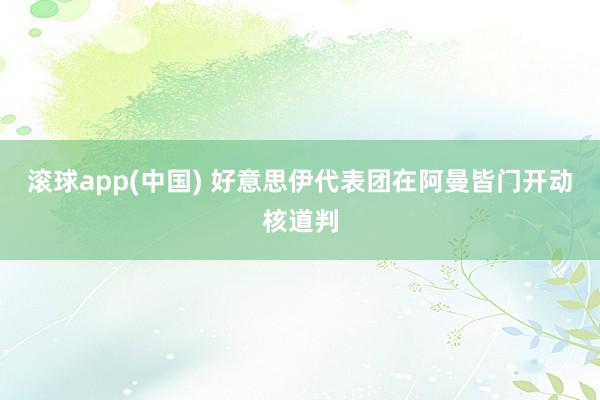 滚球app(中国) 好意思伊代表团在阿曼皆门开动核道判