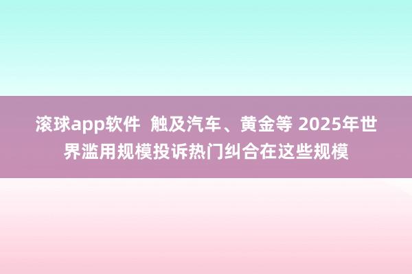 滚球app软件  触及汽车、黄金等 2025年世界滥用规模投诉热门纠合在这些规模