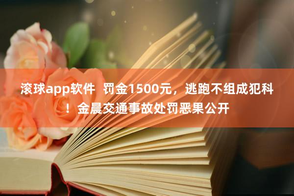 滚球app软件  罚金1500元，逃跑不组成犯科！金晨交通事故处罚恶果公开