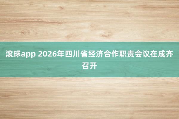 滚球app 2026年四川省经济合作职责会议在成齐召开