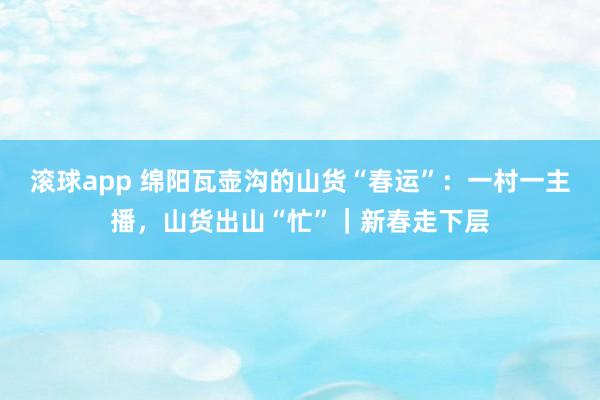 滚球app 绵阳瓦壶沟的山货“春运”：一村一主播，山货出山“忙”｜新春走下层