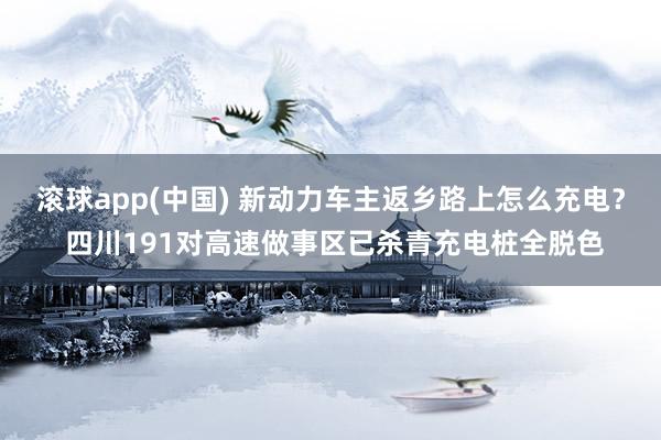 滚球app(中国) 新动力车主返乡路上怎么充电？ 四川191对高速做事区已杀青充电桩全脱色