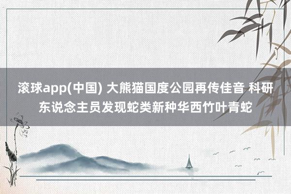 滚球app(中国) 大熊猫国度公园再传佳音 科研东说念主员发现蛇类新种华西竹叶青蛇