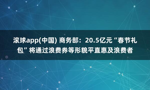滚球app(中国) 商务部：20.5亿元“春节礼包”将通过浪费券等形貌平直惠及浪费者