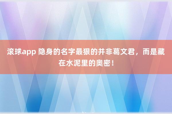 滚球app 隐身的名字最狠的并非葛文君，而是藏在水泥里的奥密！