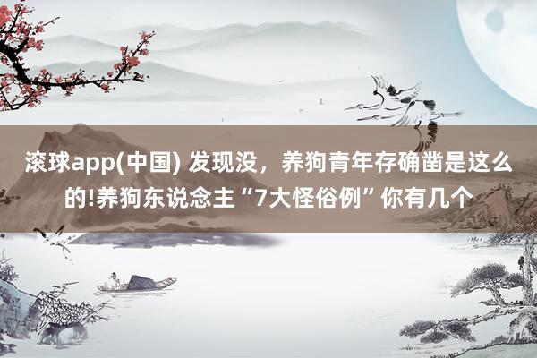 滚球app(中国) 发现没，养狗青年存确凿是这么的!养狗东说念主“7大怪俗例”你有几个
