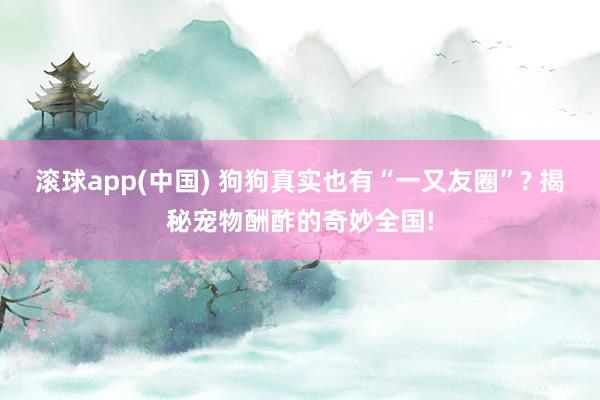 滚球app(中国) 狗狗真实也有“一又友圈”? 揭秘宠物酬酢的奇妙全国!
