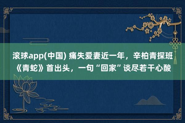 滚球app(中国) 痛失爱妻近一年，辛柏青探班《青蛇》首出头，一句“回家”谈尽若干心酸