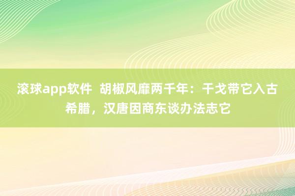 滚球app软件  胡椒风靡两千年：干戈带它入古希腊，汉唐因商东谈办法志它
