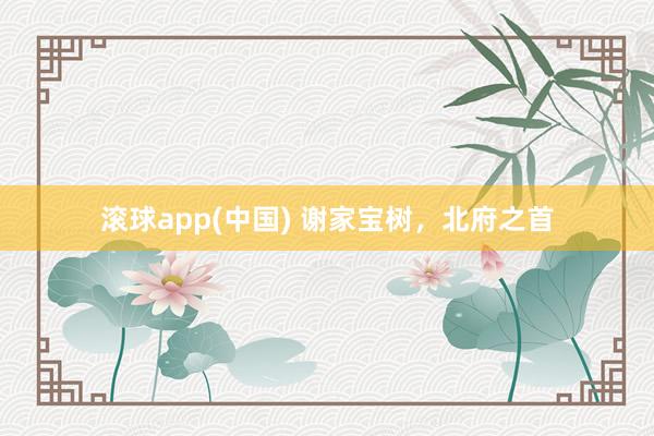 滚球app(中国) 谢家宝树，北府之首