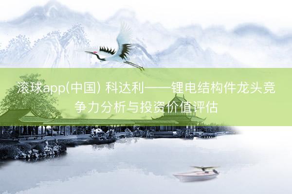 滚球app(中国) 科达利——锂电结构件龙头竞争力分析与投资价值评估