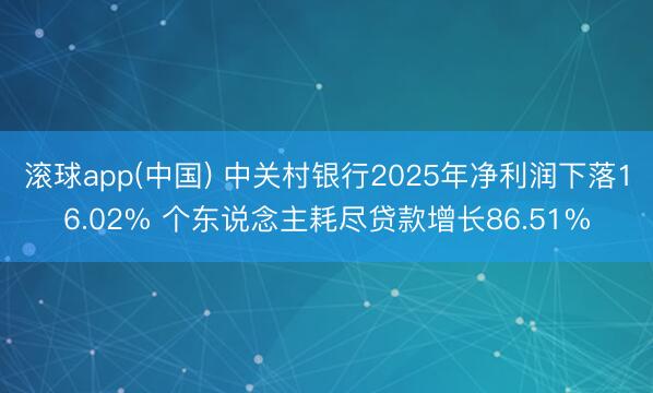 滚球app(中国) 中关村银行2025年净利润下落16.02% 个东说念主耗尽贷款增长86.51%