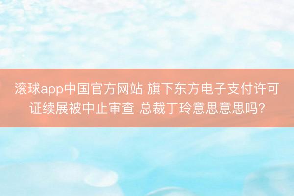 滚球app中国官方网站 旗下东方电子支付许可证续展被中止审查 总裁丁玲意思意思吗?