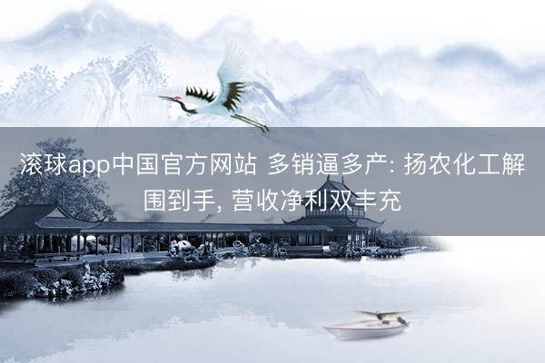 滚球app中国官方网站 多销逼多产: 扬农化工解围到手， 营收净利双丰充