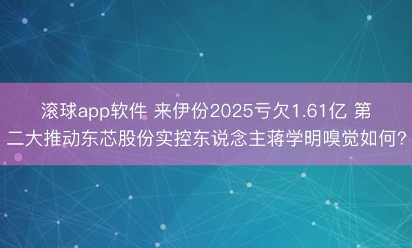 滚球app软件 来伊份2025亏欠1.61亿 第二大推动东芯股份实控东说念主蒋学明嗅觉如何?
