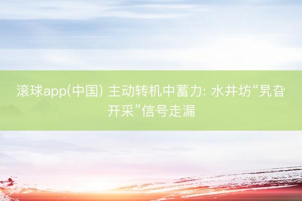 滚球app(中国) 主动转机中蓄力: 水井坊“旯旮开采”信号走漏