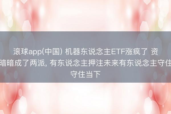 滚球app(中国) 机器东说念主ETF涨疯了 资金却暗暗成了两派， 有东说念主押注未来有东说念主守住当下