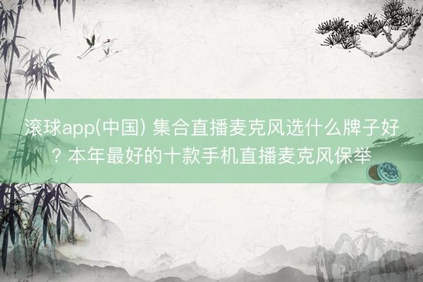 滚球app(中国) 集合直播麦克风选什么牌子好? 本年最好的十款手机直播麦克风保举