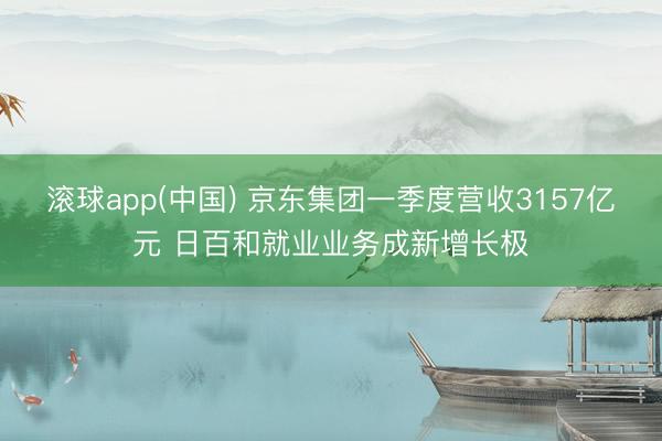 滚球app(中国) 京东集团一季度营收3157亿元 日百和就业业务成新增长极