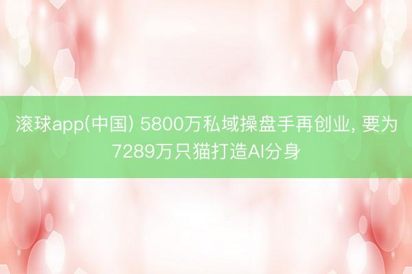 滚球app(中国) 5800万私域操盘手再创业， 要为7289万只猫打造AI分身