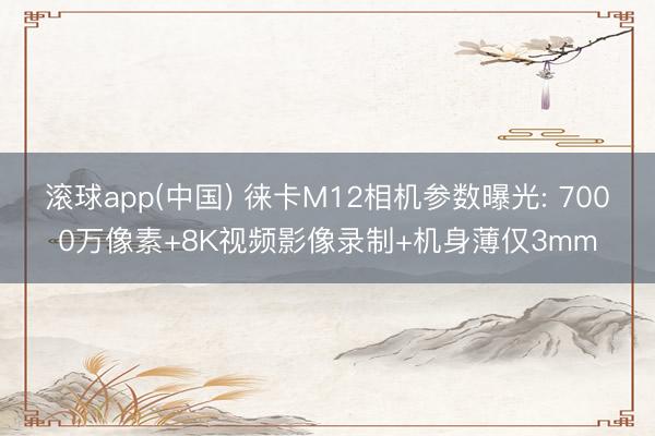 滚球app(中国) 徕卡M12相机参数曝光: 7000万像素+8K视频影像录制+机身薄仅3mm