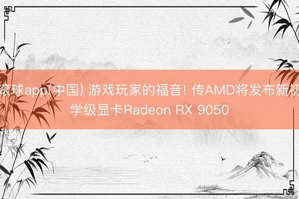 滚球app(中国) 游戏玩家的福音! 传AMD将发布新初学级显卡Radeon RX 9050