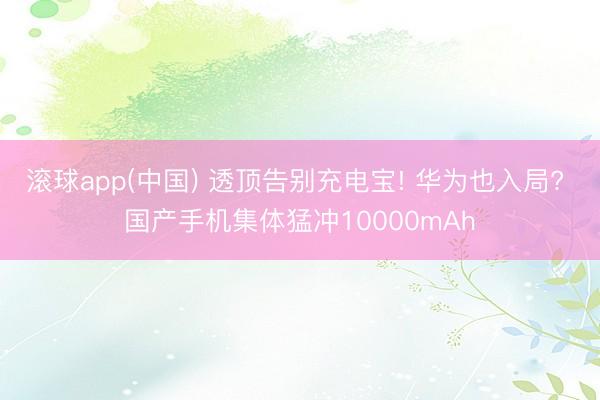 滚球app(中国) 透顶告别充电宝! 华为也入局? 国产手机集体猛冲10000mAh