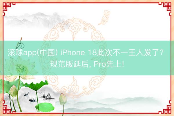 滚球app(中国) iPhone 18此次不一王人发了? 规范版延后， Pro先上!