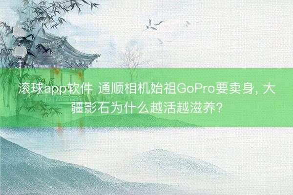 滚球app软件 通顺相机始祖GoPro要卖身， 大疆影石为什么越活越滋养?