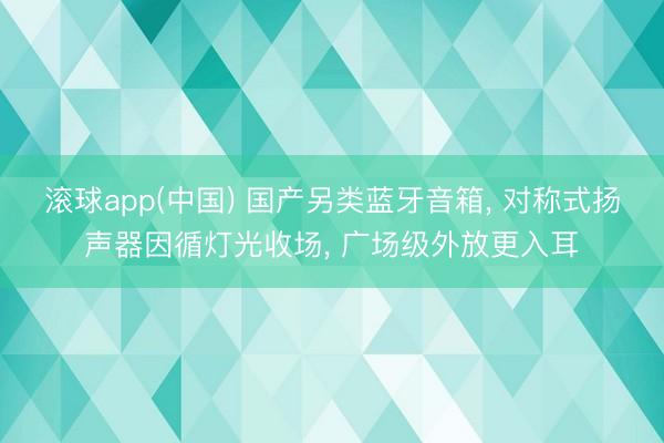 滚球app(中国) 国产另类蓝牙音箱， 对称式扬声器因循灯光收场， 广场级外放更入耳