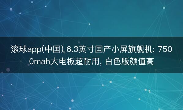 滚球app(中国) 6.3英寸国产小屏旗舰机: 7500mah大电板超耐用， 白色版颜值高
