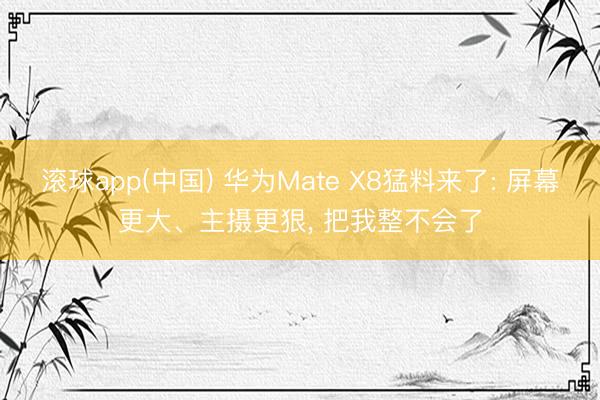 滚球app(中国) 华为Mate X8猛料来了: 屏幕更大、主摄更狠， 把我整不会了