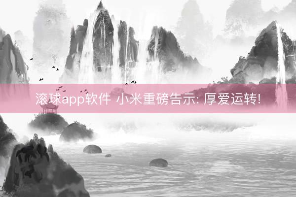滚球app软件 小米重磅告示: 厚爱运转!