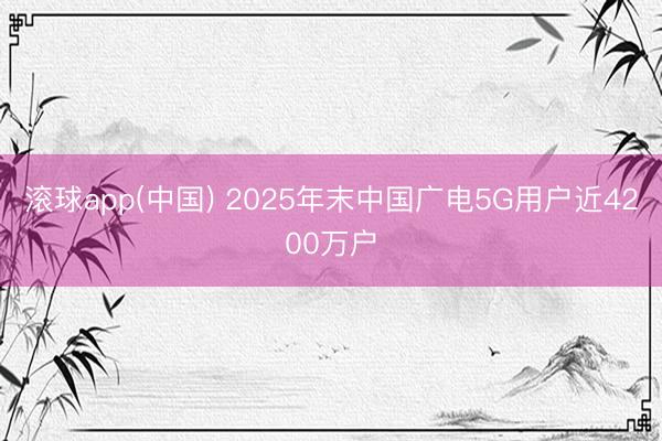滚球app(中国) 2025年末中国广电5G用户近4200万户