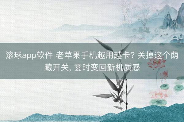 滚球app软件 老苹果手机越用越卡? 关掉这个荫藏开关， 霎时变回新机质感