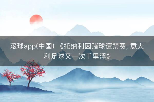 滚球app(中国) 《托纳利因赌球遭禁赛， 意大利足球又一次千里浮》