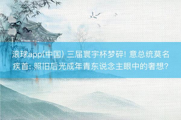 滚球app(中国) 三届寰宇杯梦碎! 意总统莫名疾首: 照旧后光成年青东说念主眼中的奢想?