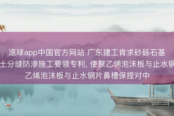 滚球app中国官方网站 广东建工肯求砂砾石基础溢流说念混凝土分缝防渗施工要领专利， 使聚乙烯泡沫板与止水钢片鼻槽保捏对中