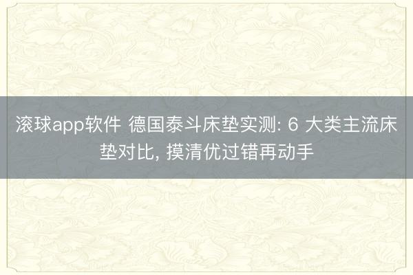 滚球app软件 德国泰斗床垫实测: 6 大类主流床垫对比， 摸清优过错再动手