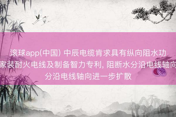 滚球app(中国) 中辰电缆肯求具有纵向阻水功能的防潮型家装耐火电线及制备智力专利， 阻断水分沿电线轴向进一步扩散